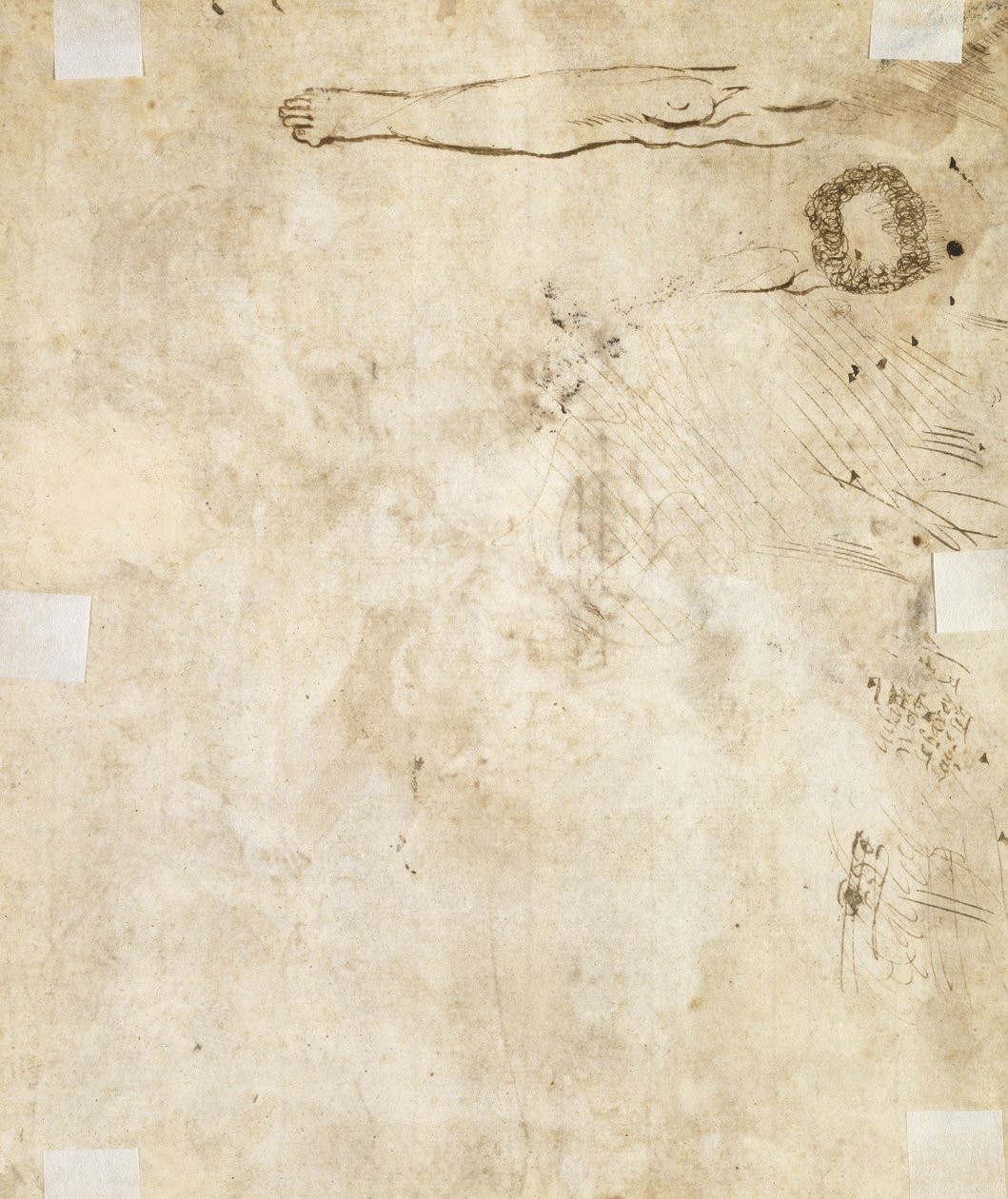 دراسة ساق وازدهار وخربش ، 1610-1717 بواسطة جاك بيلانج