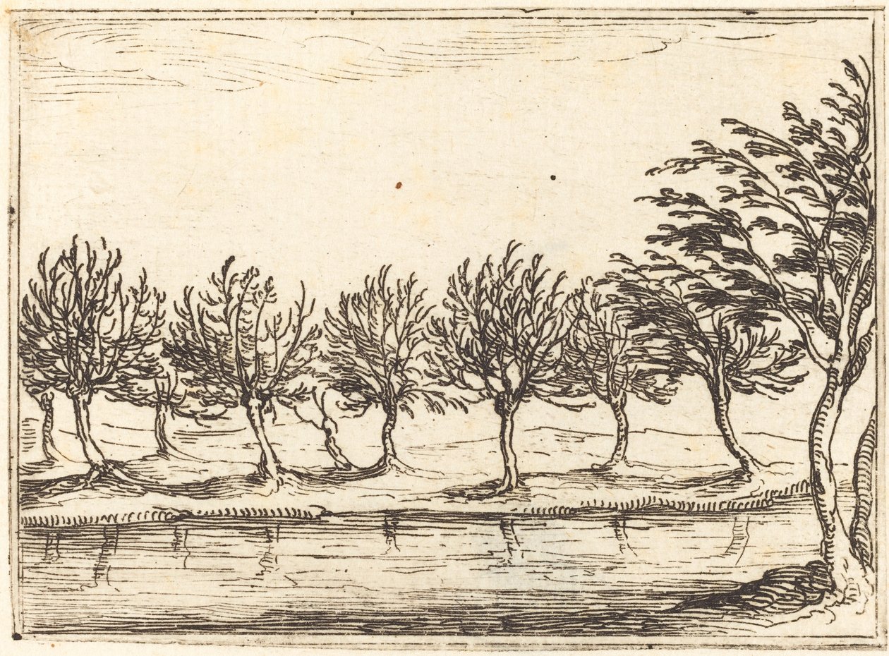 الصفصاف على حافة الماء ، 1628. بواسطة جاك كالوت