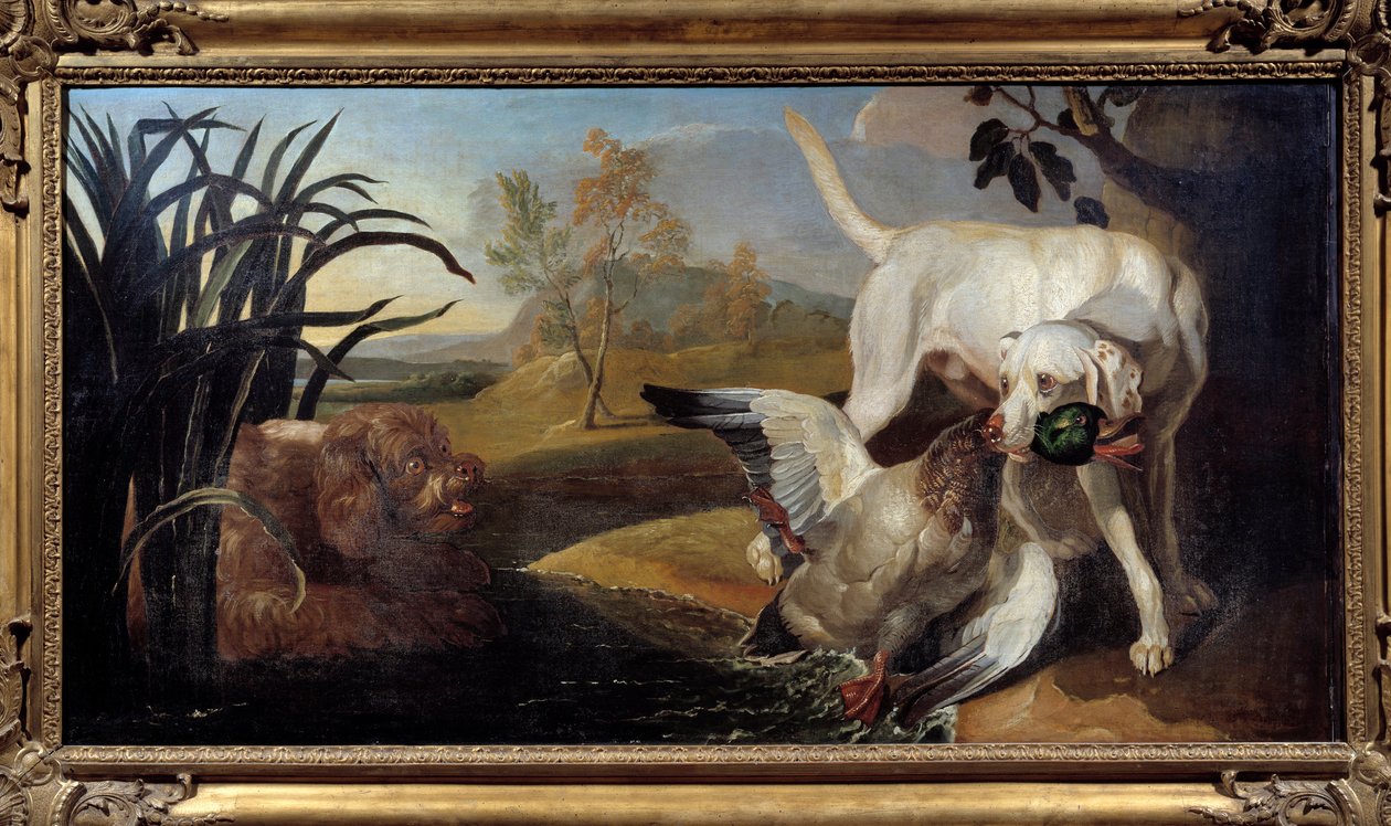 كلب براك يمسك بطة في فمه لوحة رسمها جاك تشارلز أودري (1720-1778) باريس القرن الثامن عشر ، فنون زخرفية بواسطة جاك تشارلز أودري