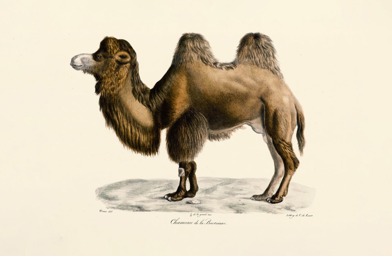  بواسطة 