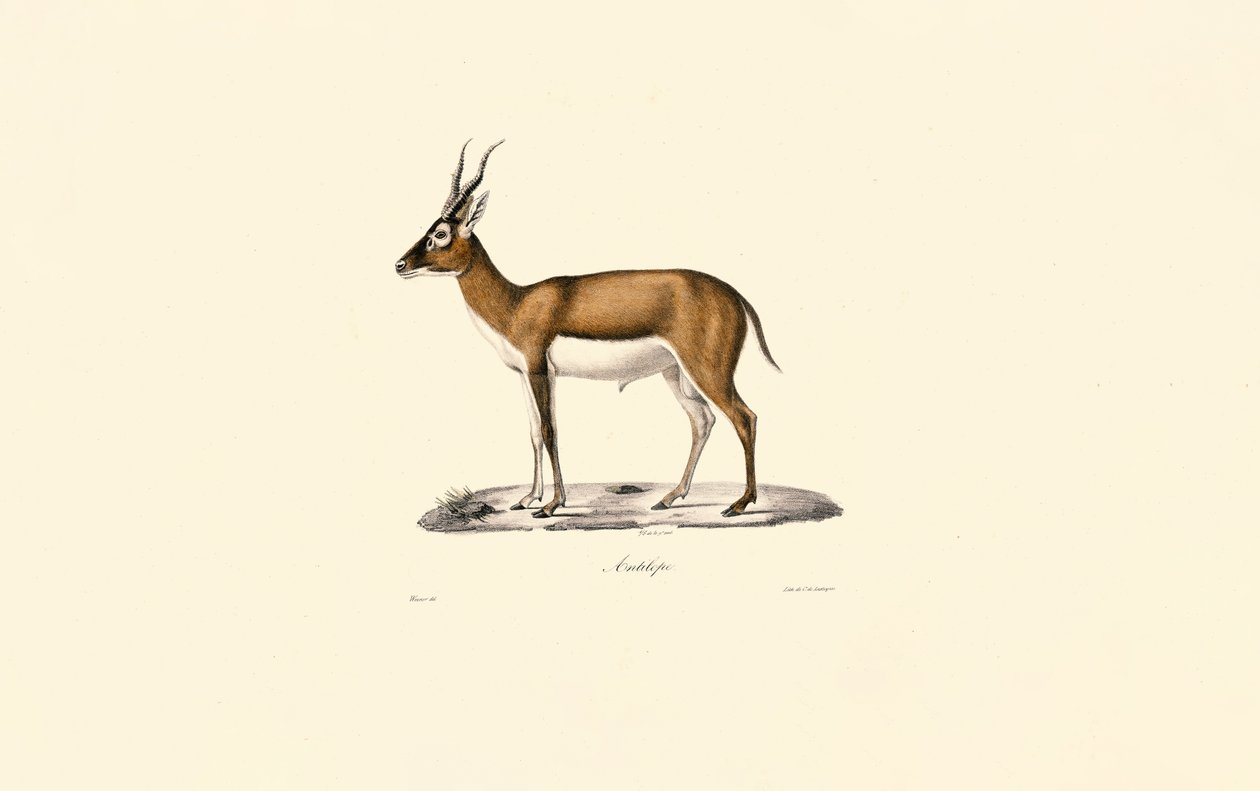  بواسطة 