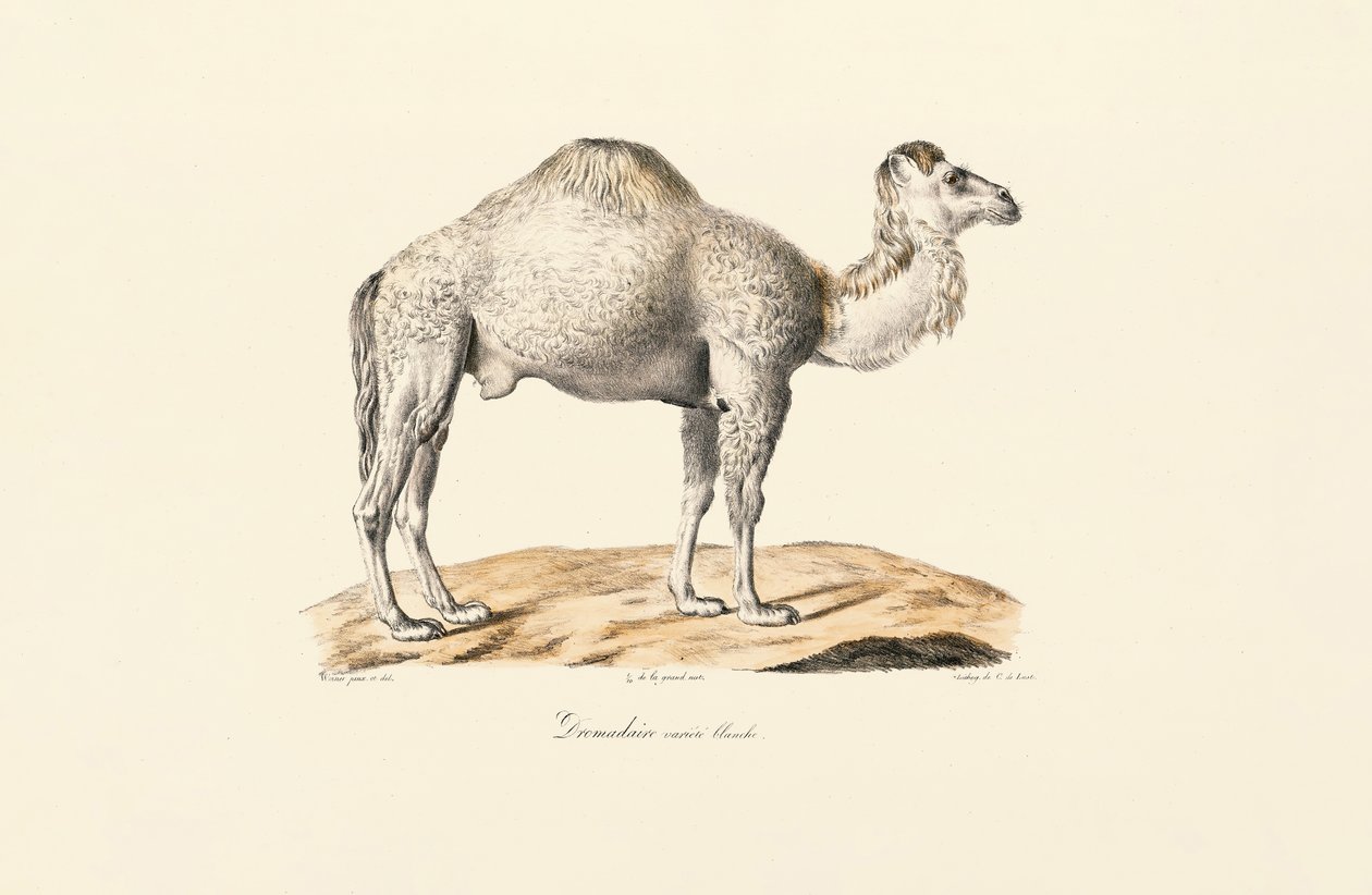  بواسطة 