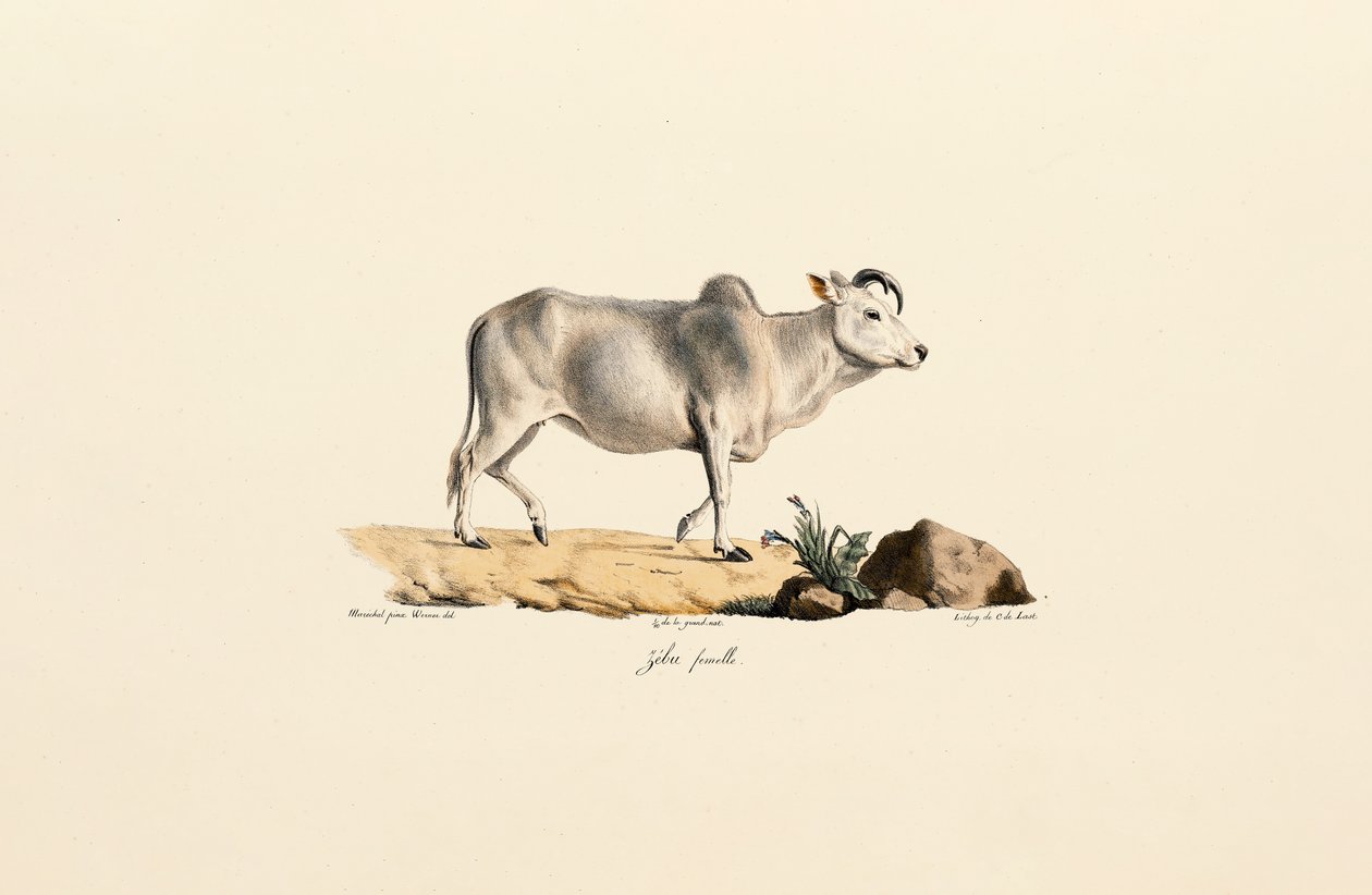  بواسطة 
