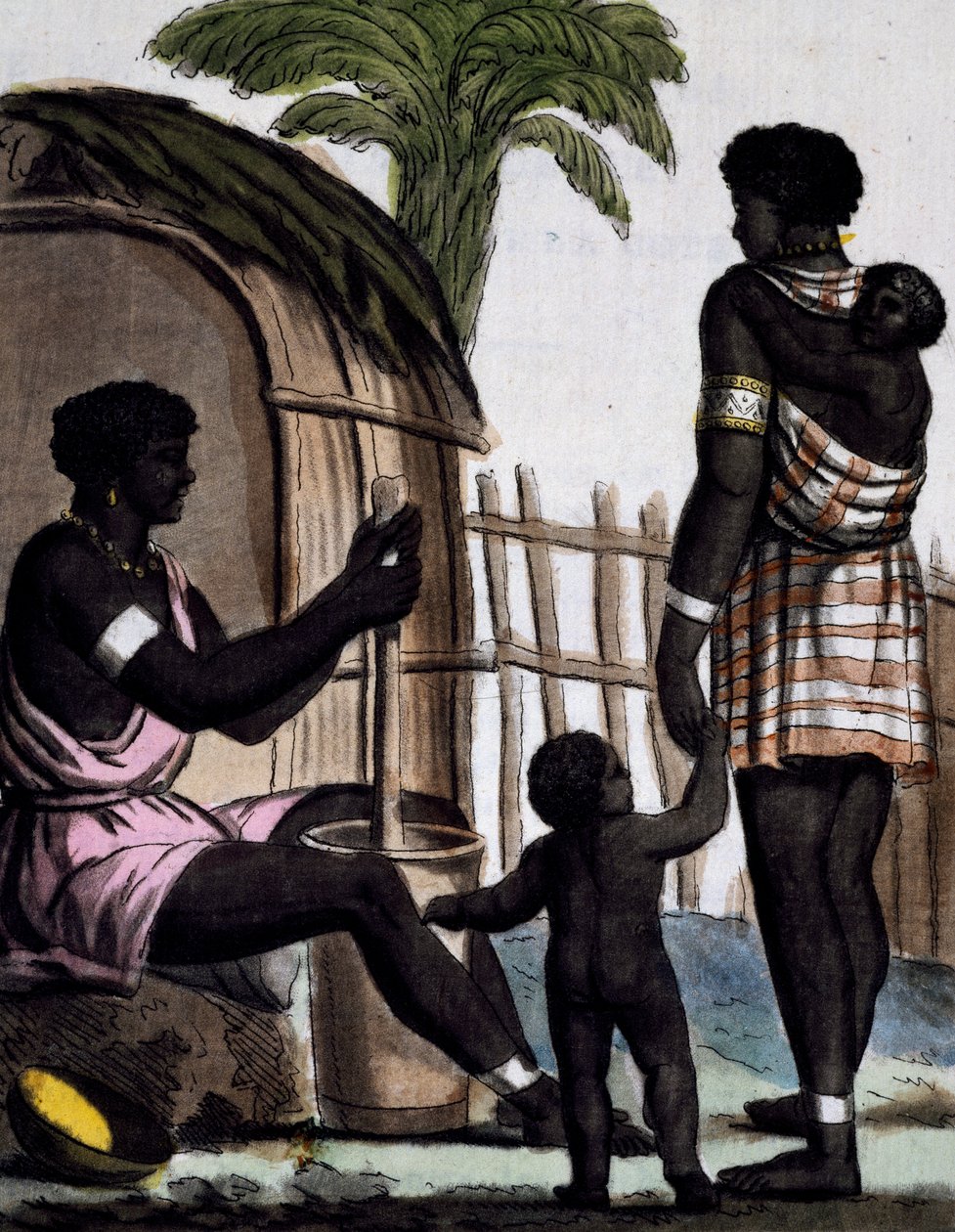نساء إيسينيا يعملن في الأرز ، نقش ملون من رسم لبروس (نشط 1796) ، من موسوعة الرحلات ، بقلم جاك غراسيت دي سان سوفور (1757-1810) بواسطة جاك غراسيت دي سانت سوفير