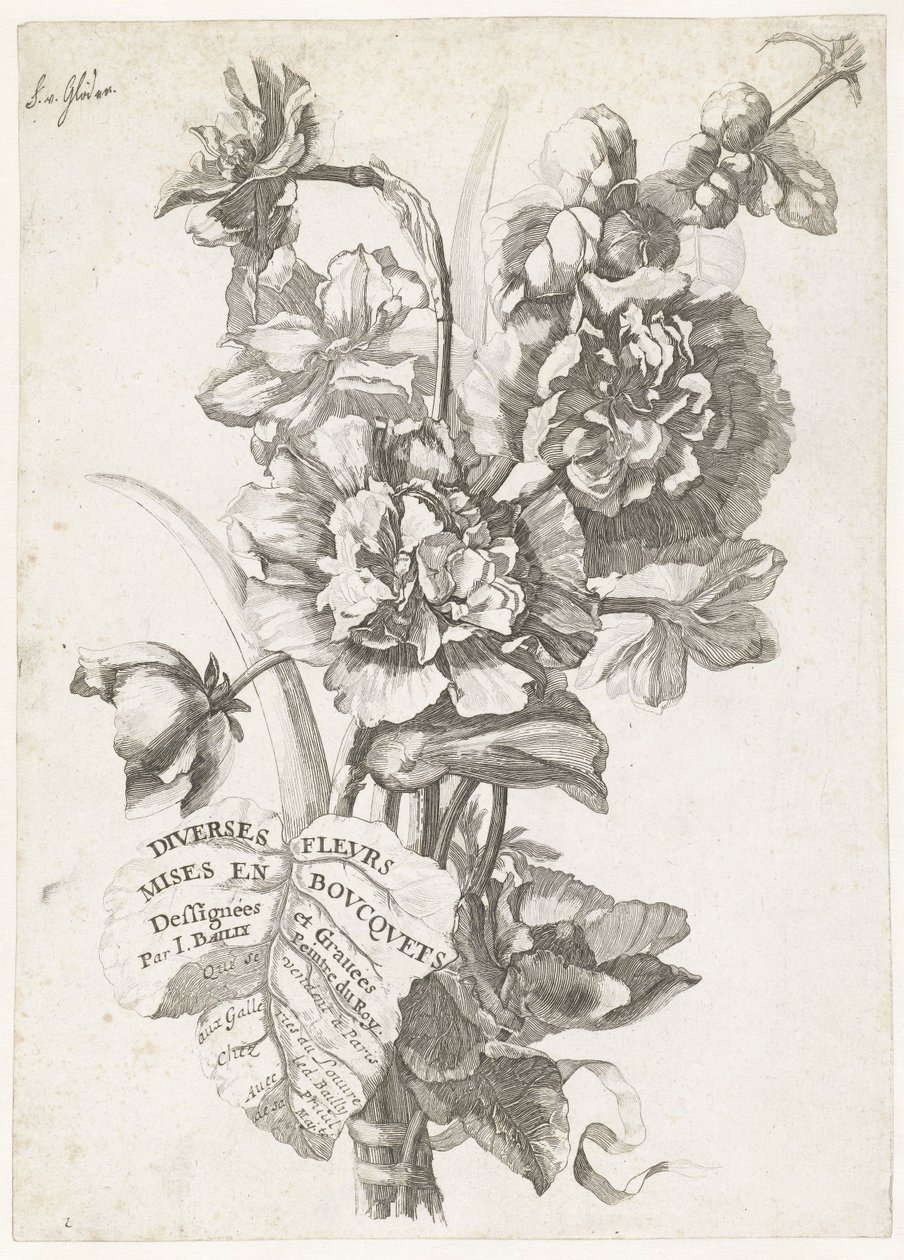 صفحة العنوان مع باقة من الفاوانيا ، من Diverses Fleurs mise en Boucquets ، c.1670 بواسطة جاك أنا بايلي