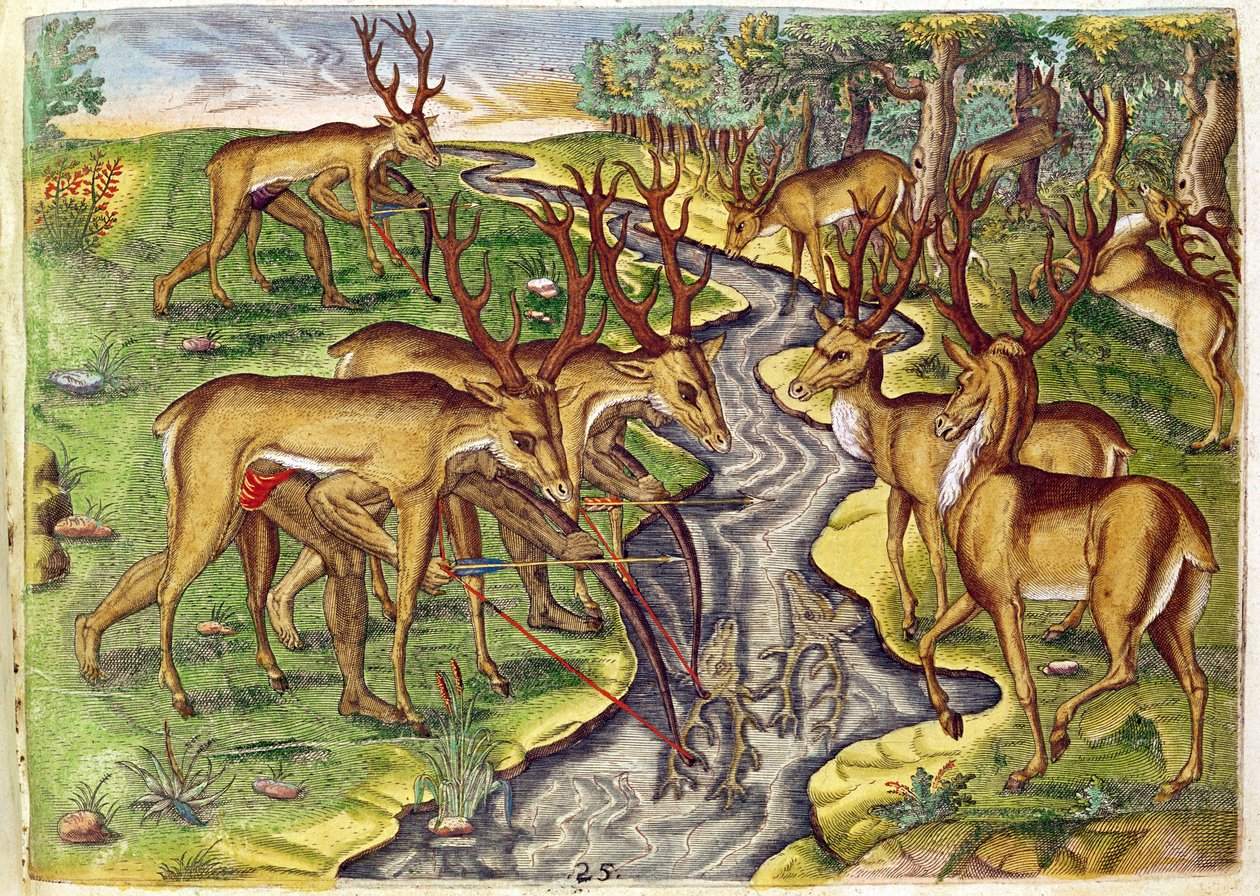 Stag Hunter ، من "القصة القصيرة ..." ، نقشها تيودور دي بري (1528-98) 1563 بواسطة جاك لو موين