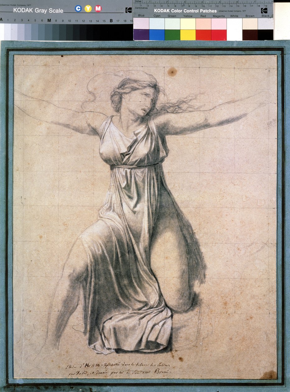 Hersilia (Hersilie) "": تمثيل لواحد من Sabines يتدخل بين Romulus و Tatius ، ملك Sabines. دراسة للوحة "Les sabines" رسم لجاك لويس ديفيد (1748-1825) 1795-1798 موسكو. متحف بوشكين للفنون الجميلة بواسطة جاك لويس ديفيد
