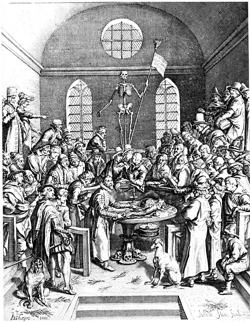 مسرح تشريح أواخر القرن السادس عشر ، جاك دي جيهين الأكبر ، 1633 بواسطة جاك دي جيهين الأكبر
