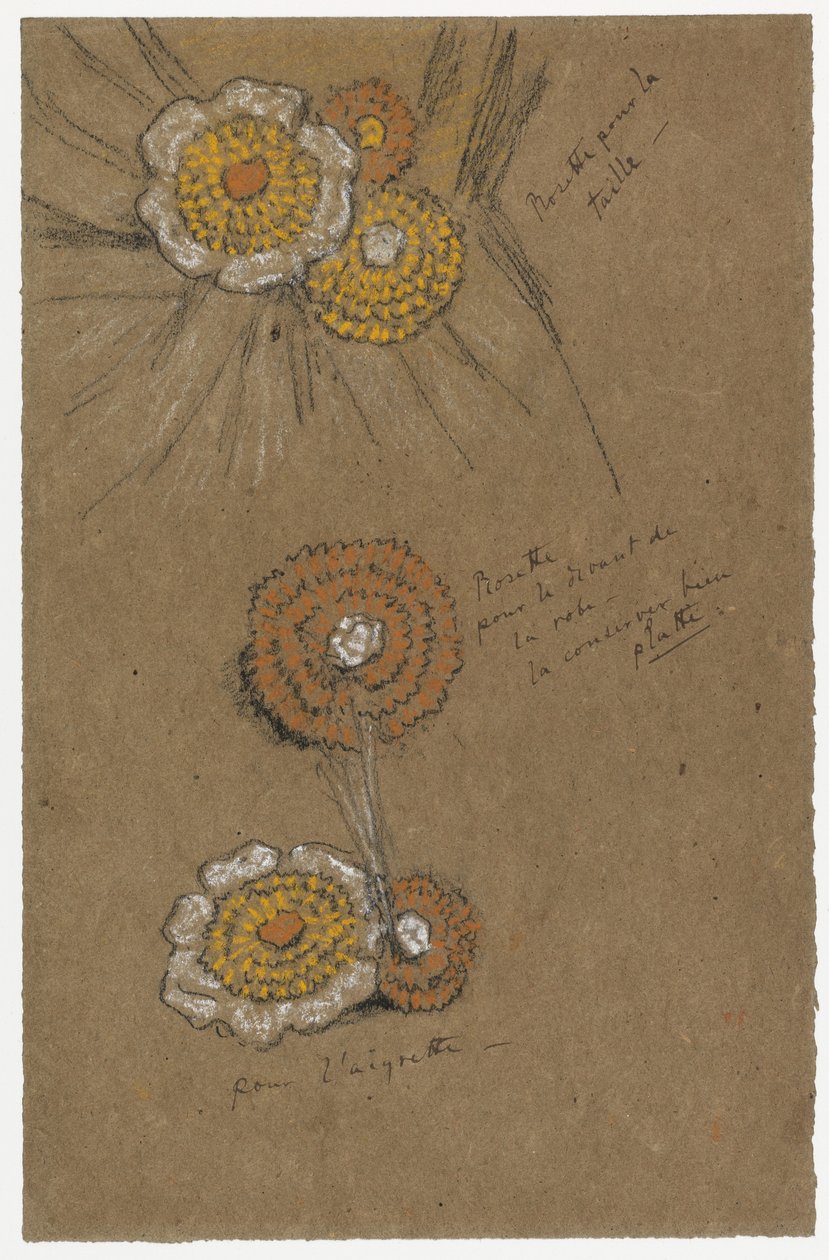 دراسات الوردية ، 1871-1874 (طباشير سوداء وبيضاء على ورق بني) بواسطة جيمس أبوت ماكنيل ويسلر