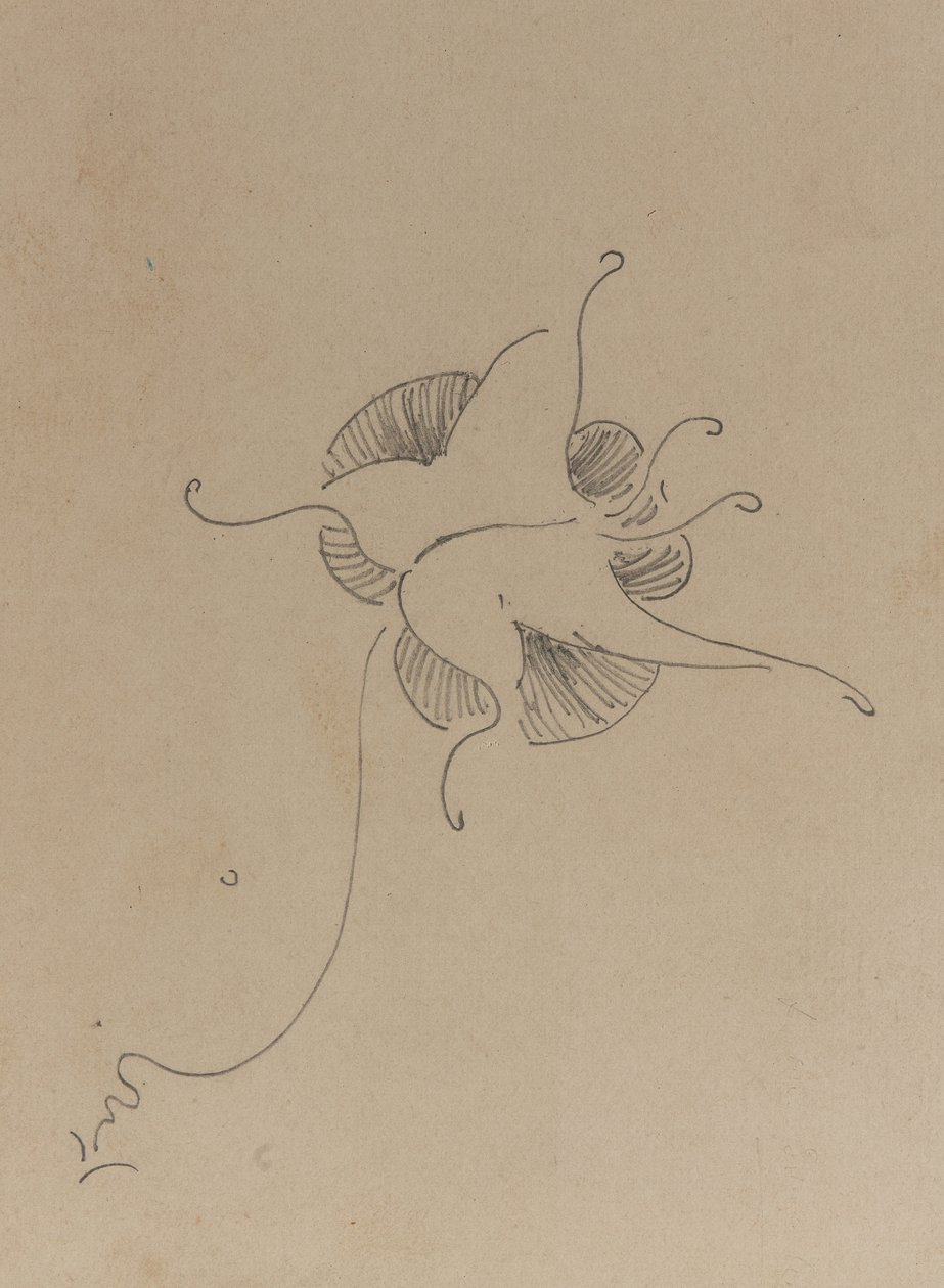 فراشة ويسلر ، c.1890 (قلم رصاص على ورق مقوى) بواسطة جيمس أبوت ماكنيل ويسلر