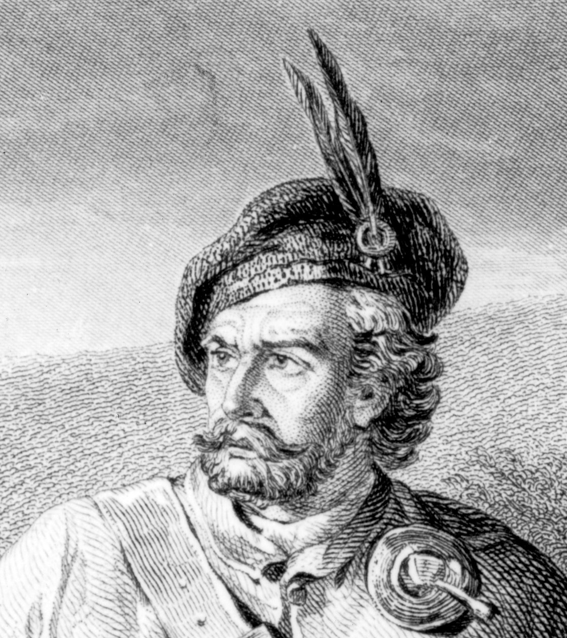 روبوي بارتينج دويلز راشلي وفرانسيس أوسبالديستون ، نقشهما جون لو كونتي (fl.1850-86) 1867 (تفاصيل 105434) بواسطة جيمس بليك ماكدونالد