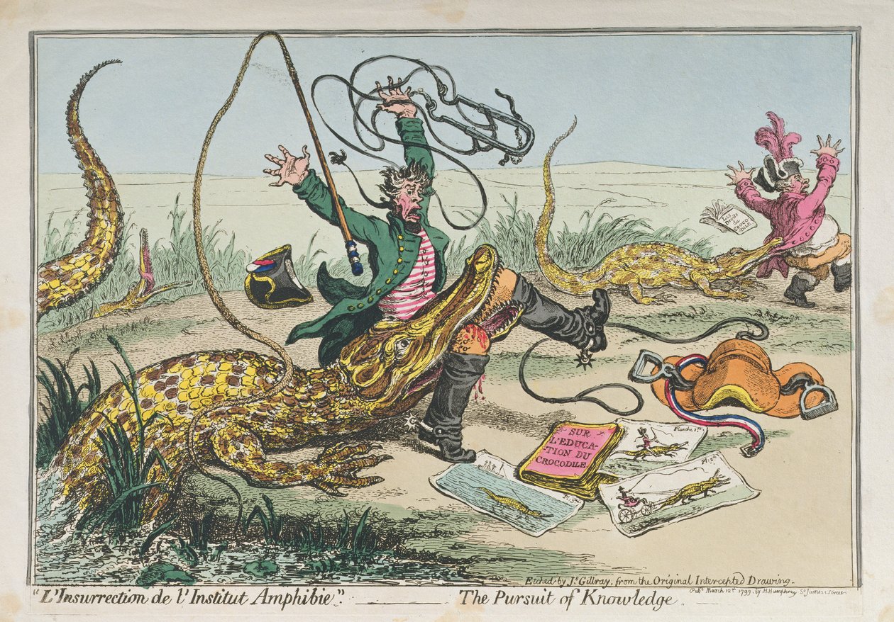 "L&39;Insurrection de l&39;Institut Amphibie" أو The Pursuit of Knowledge ، نشرته Hannah Humphrey في عام 1799 (النقش الملون يدويًا) بواسطة جيمس جيلراي