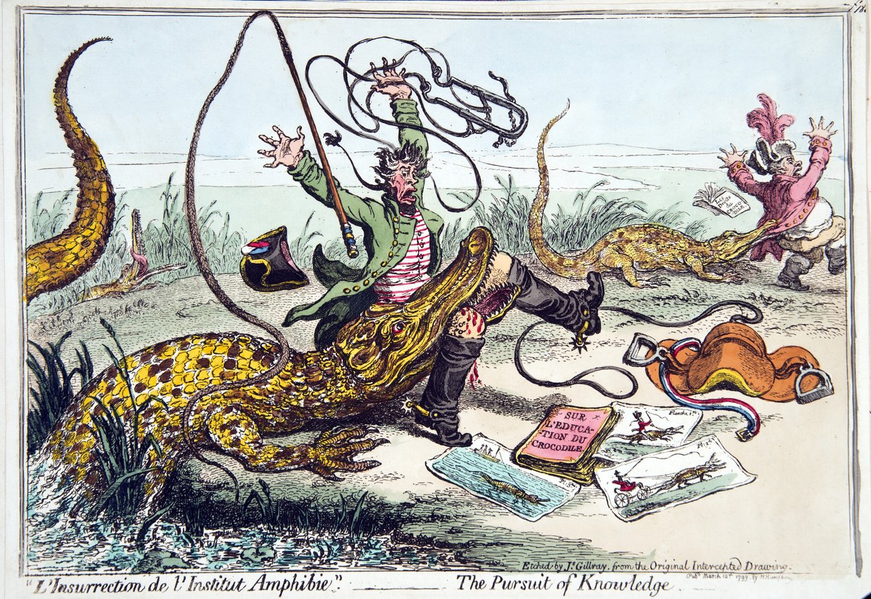 "L&39;Insurrection de l&39;Institut Amphibie" أو The Pursuit of Knowledge ، نشرته Hannah Humphrey في عام 1799 (النقش الملون يدويًا) بواسطة جيمس جيلراي