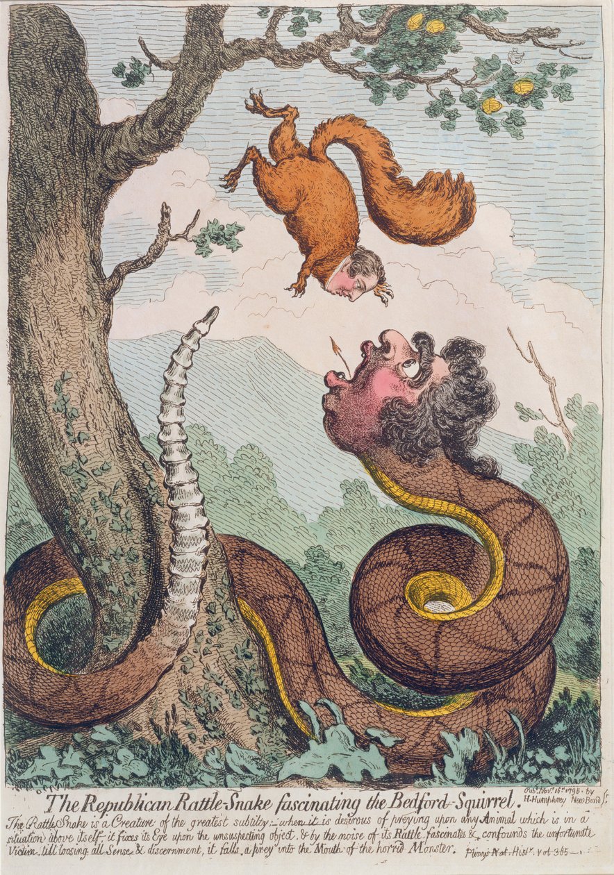 The Rattle-Snake الجمهوري الذي يذهل السنجاب بيدفورد ، الذي نشرته هانا همفري في عام 1795 (النقش الملون يدويًا) بواسطة جيمس جيلراي