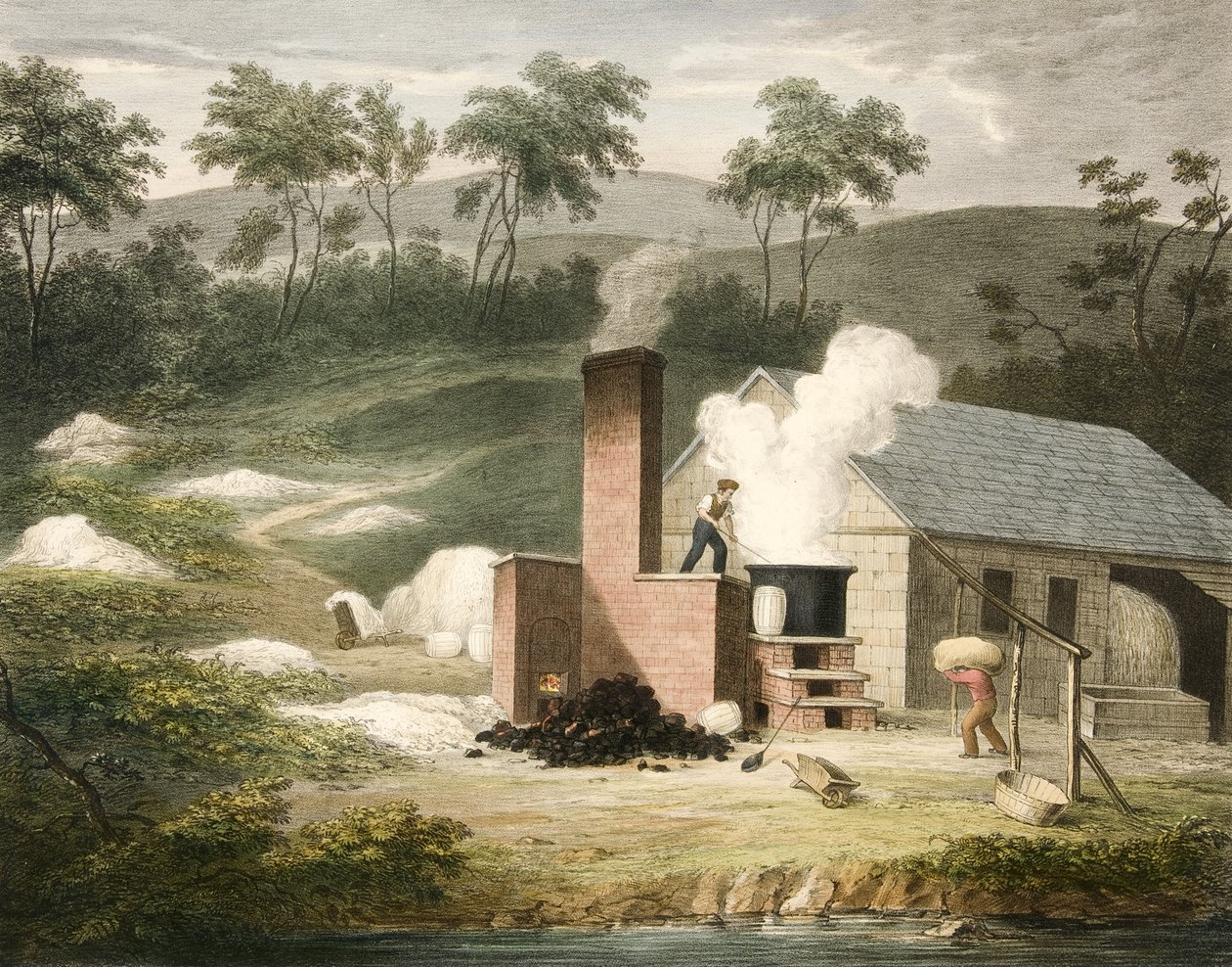 تبيض ، تقدم القطن رقم 7 ، حانة. 1840 بواسطة جيمس ريتشارد بارفوت
