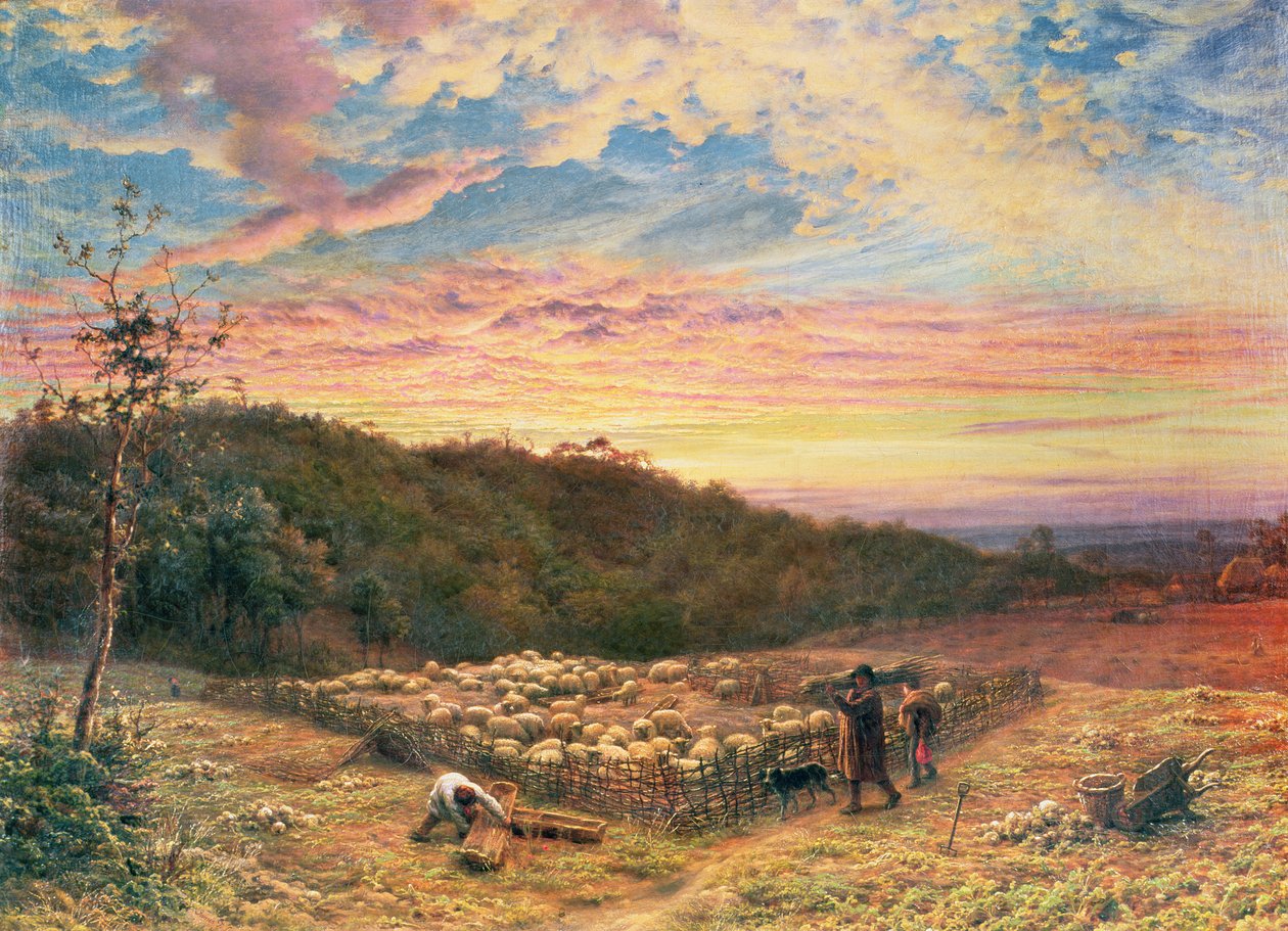 Sheepfold - صباح في الخريف بواسطة جيمس توماس لينيل