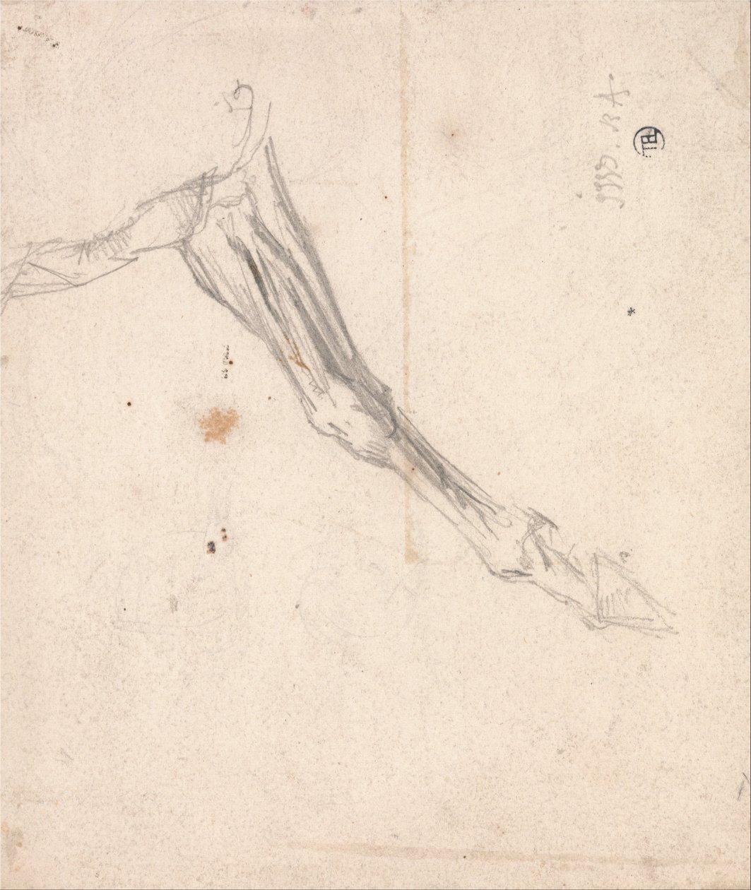 الخيول Foreleg - ربما دراسة لـ LAmour de Cheval ، بتاريخ 1827 ، في معرض Tate بواسطة جيمس وارد