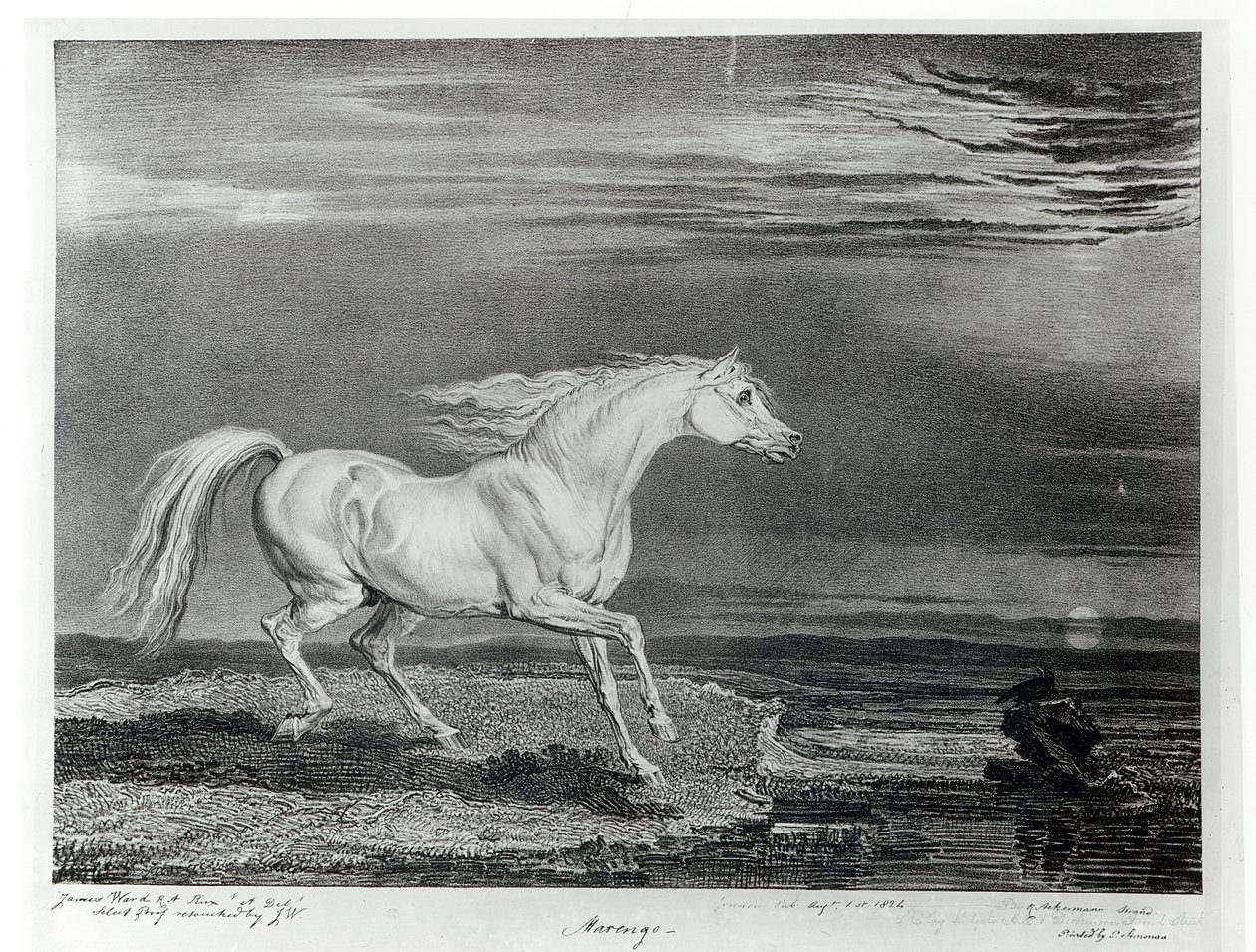 مارينغو ، نقش الفنان ، الحانة. بقلم R. Ackermann ، 1824 بواسطة جيمس وارد