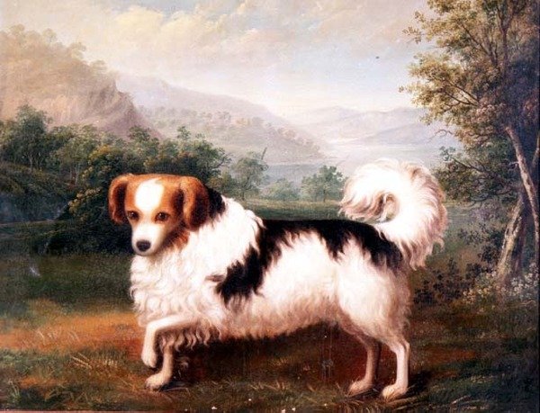 A Phallene Papillon في منظر طبيعي في المرتفعات بواسطة جيمس (Attr. To) Barenger