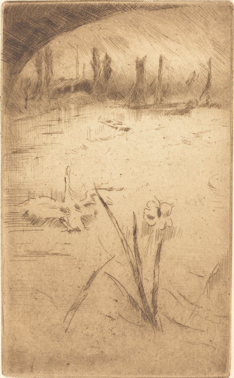 Swan and Iris ، نُشر عام 1883. بواسطة جيمس أبوت ماكنيل ويسلر