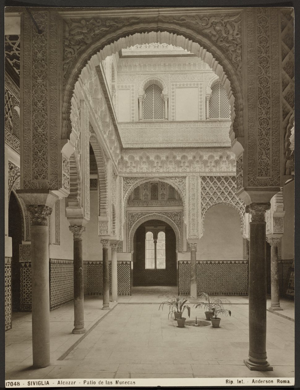  بواسطة جيمس أندرسون