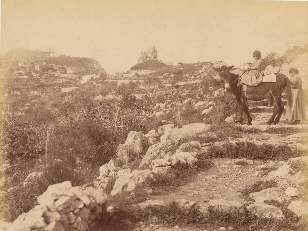  بواسطة جيمس أندرسون