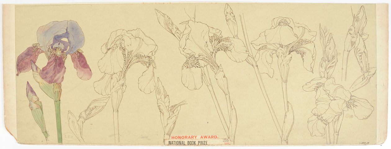 الدراسات النباتية ، 1900-30 (مرحاض على ورق) بواسطة جيمس أثيرتون