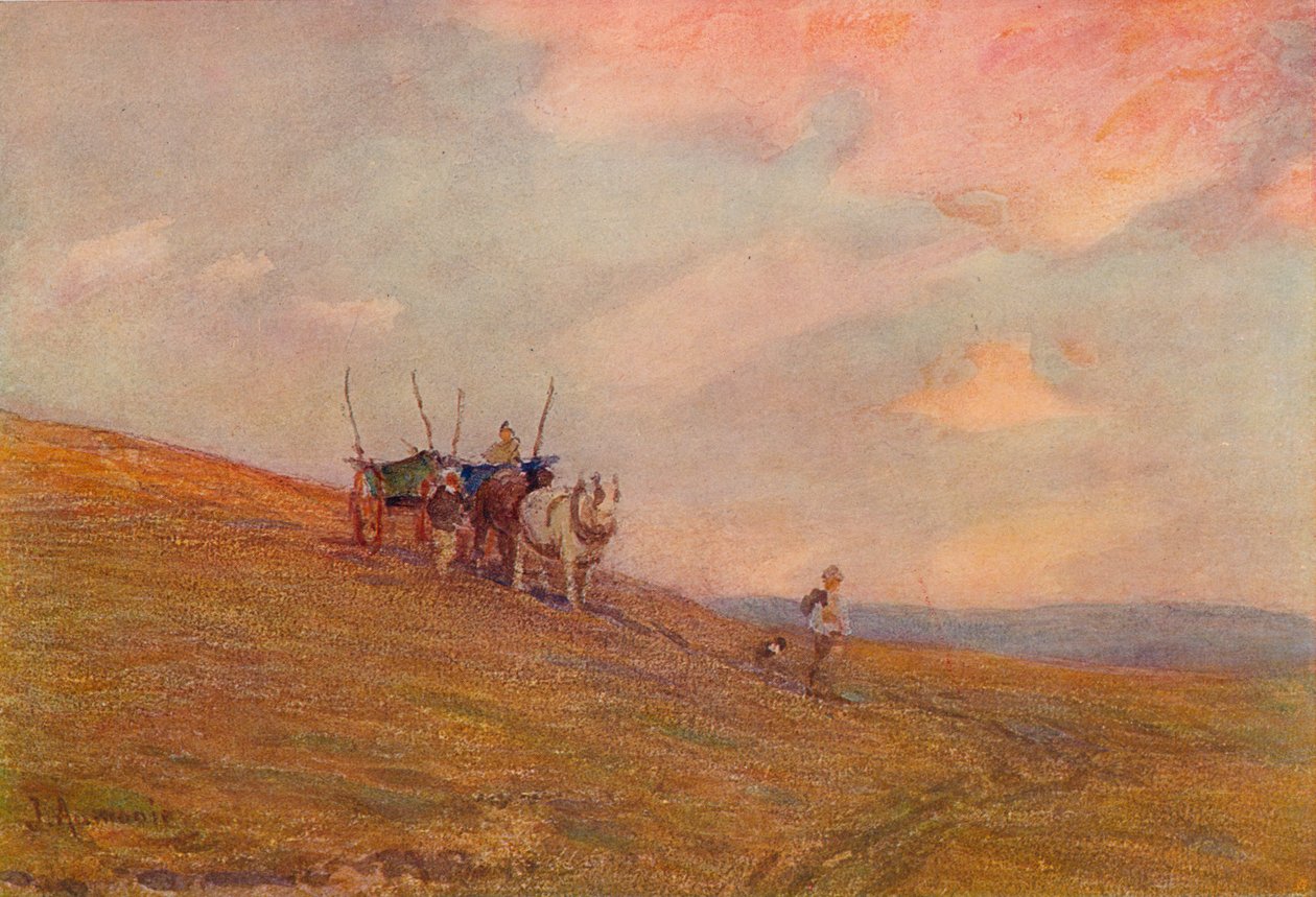 على داونز بالقرب من هارتينج ، c1870-1906 ، 1906. بواسطة جيمس أومونير
