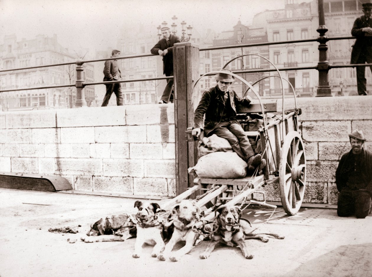 رجل مع عربة الكلب ، أنتويرب ، 1898. بواسطة جيمس باتكين