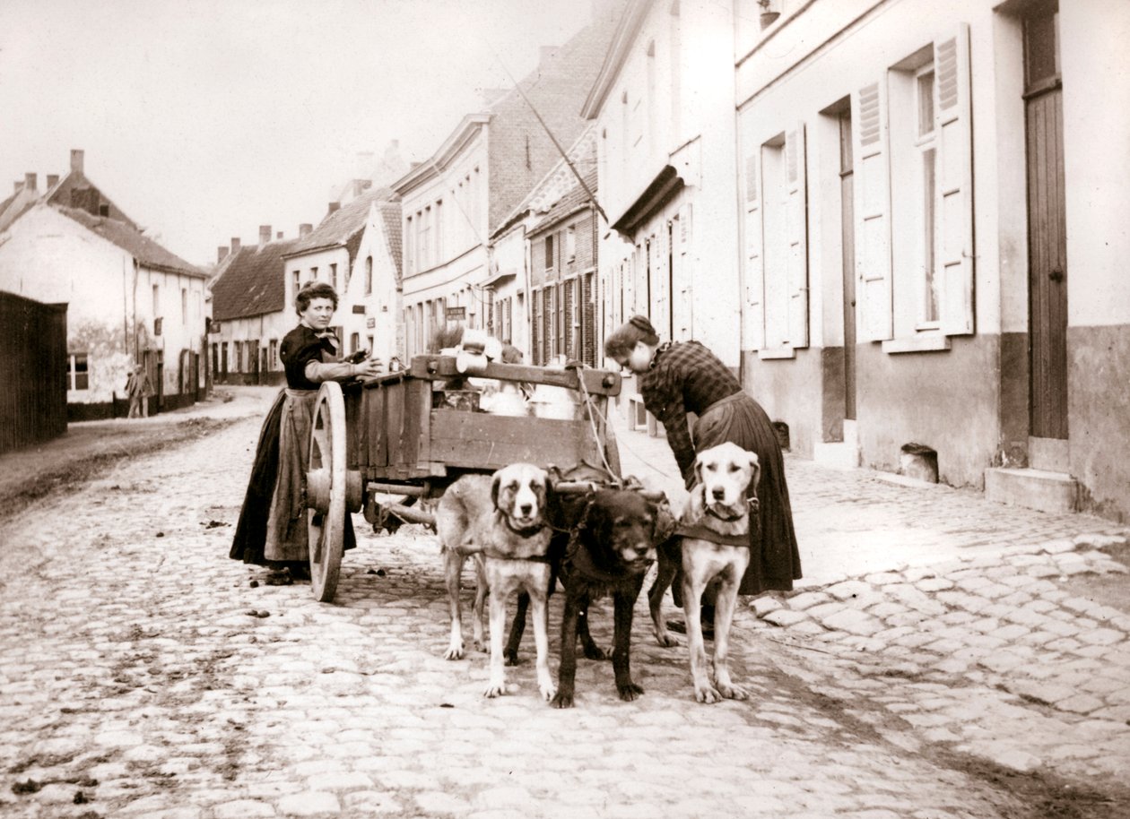 النساء وعربات الكلب ، أنتويرب ، 1898 بواسطة جيمس باتكين