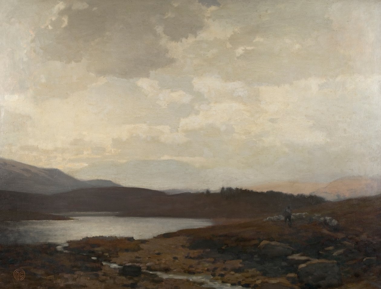 Dinnet Moor (زيت على قماش) بواسطة جيمس كادنهيد
