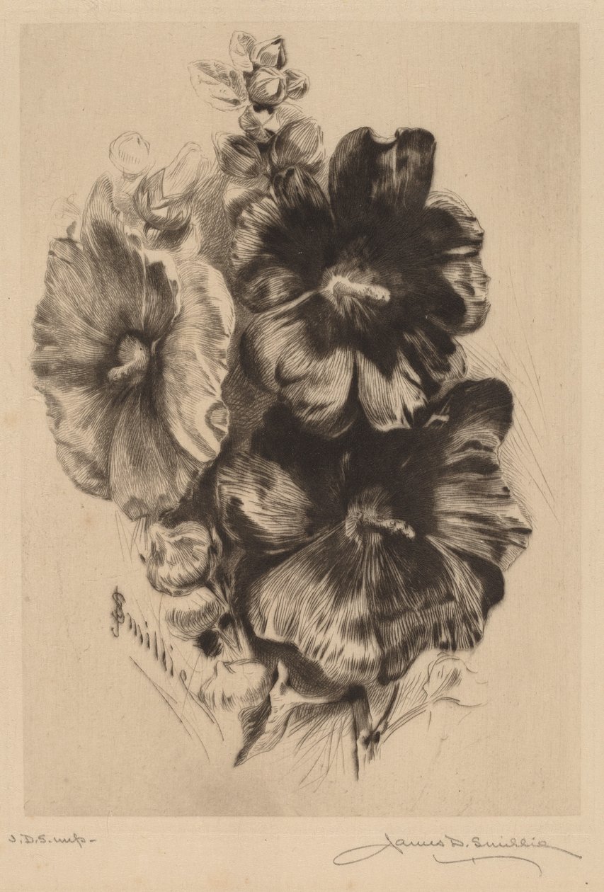 Hollyhocks واحد داكن بواسطة جيمس ديفيد سميلي