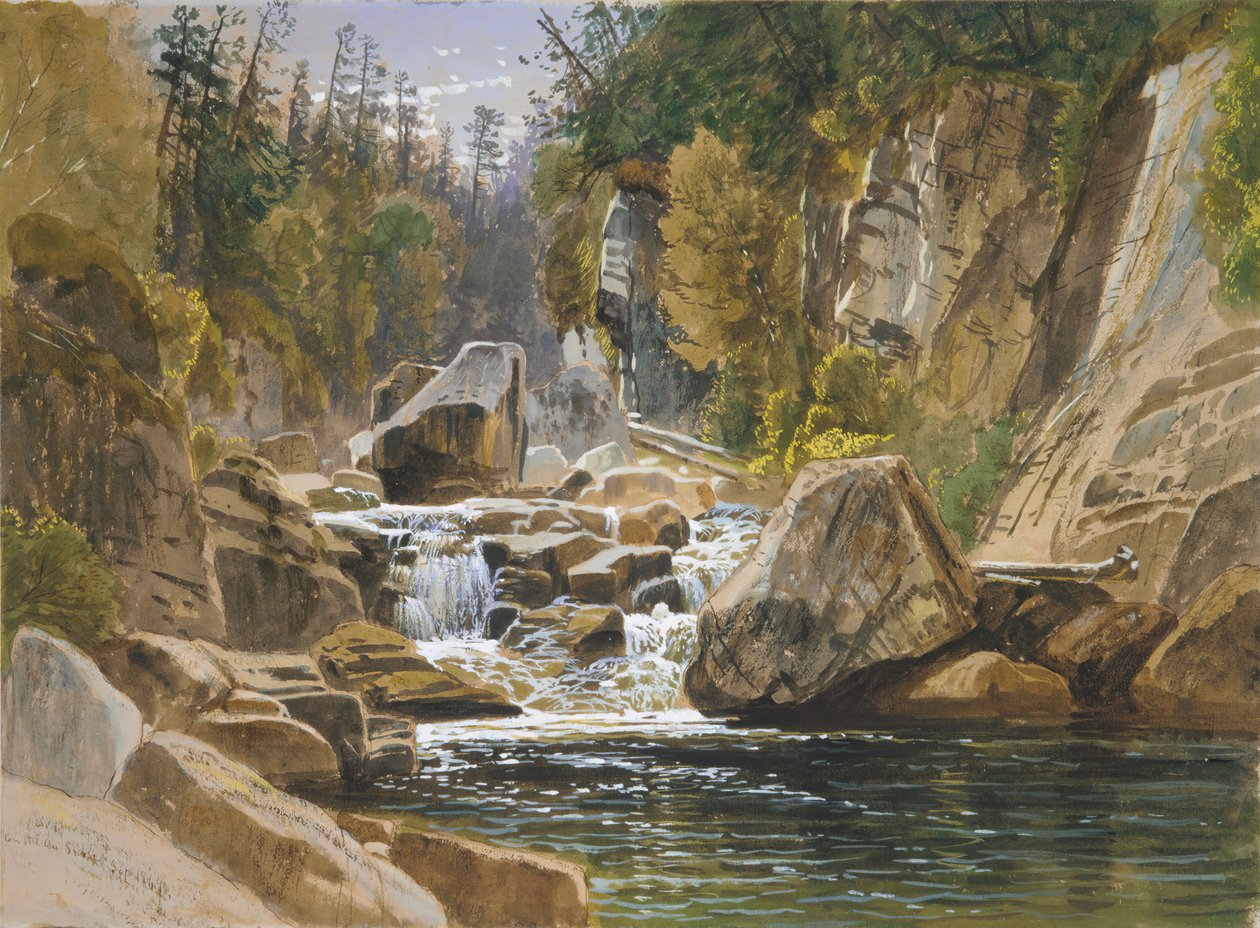 على Ausable ، 1869. بواسطة جيمس ديفيد سميلي