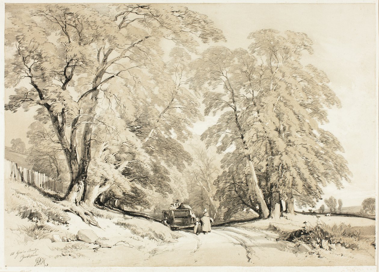 الرماد ، من The Park and the Forest بواسطة جيمس دوفيلد هاردينج