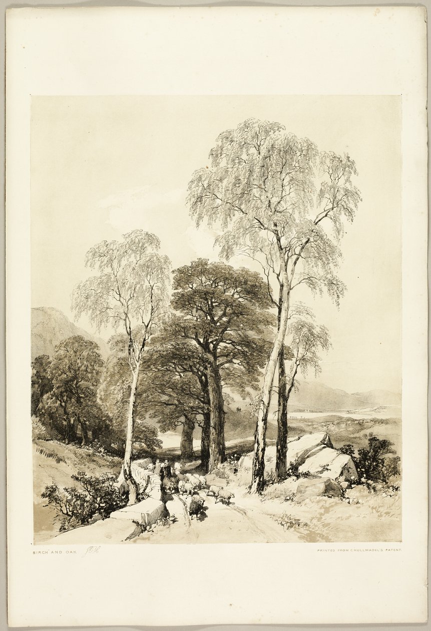 بيرش والبلوط ، من The Park and the Forest بواسطة جيمس دوفيلد هاردينج