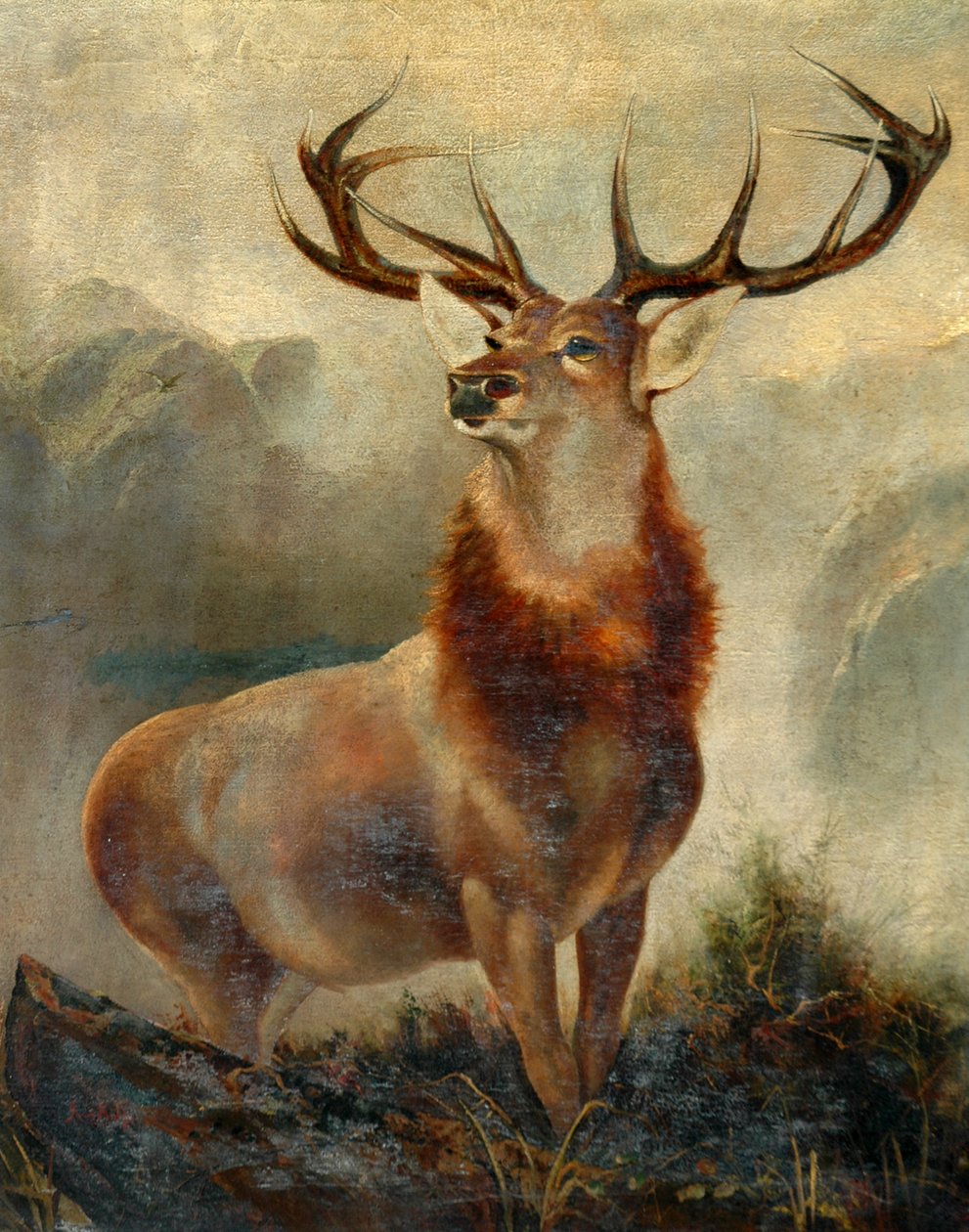 Stag At Bay بواسطة جيمس فورد