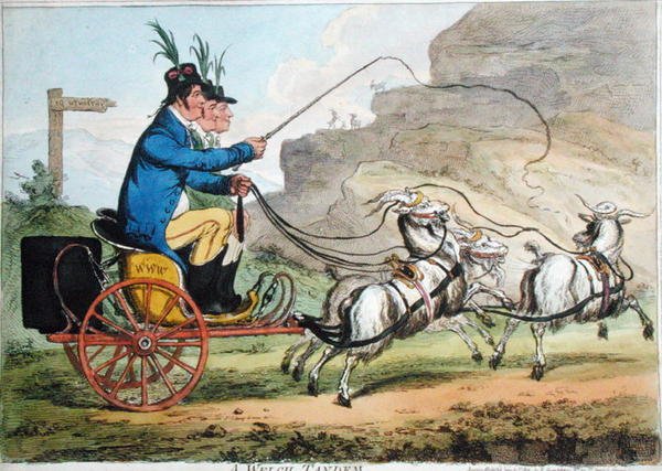 A Welch Tandem ، نشرته هانا همفري في عام 1803 (نقش ملون يدويًا) بواسطة جيمس جيلراي