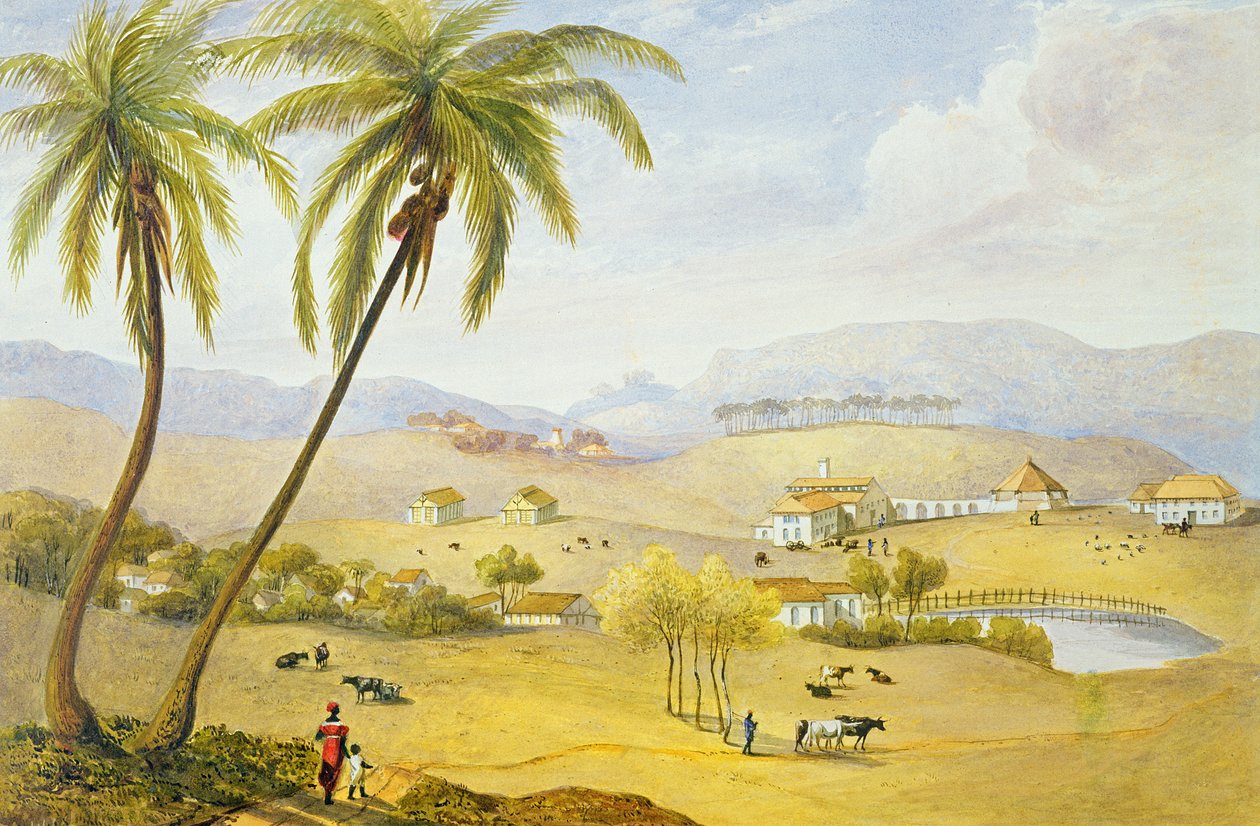 محكمة هوجتون ، هانوفر ، جامايكا ، c.1820 بواسطة جيمس هاكويل
