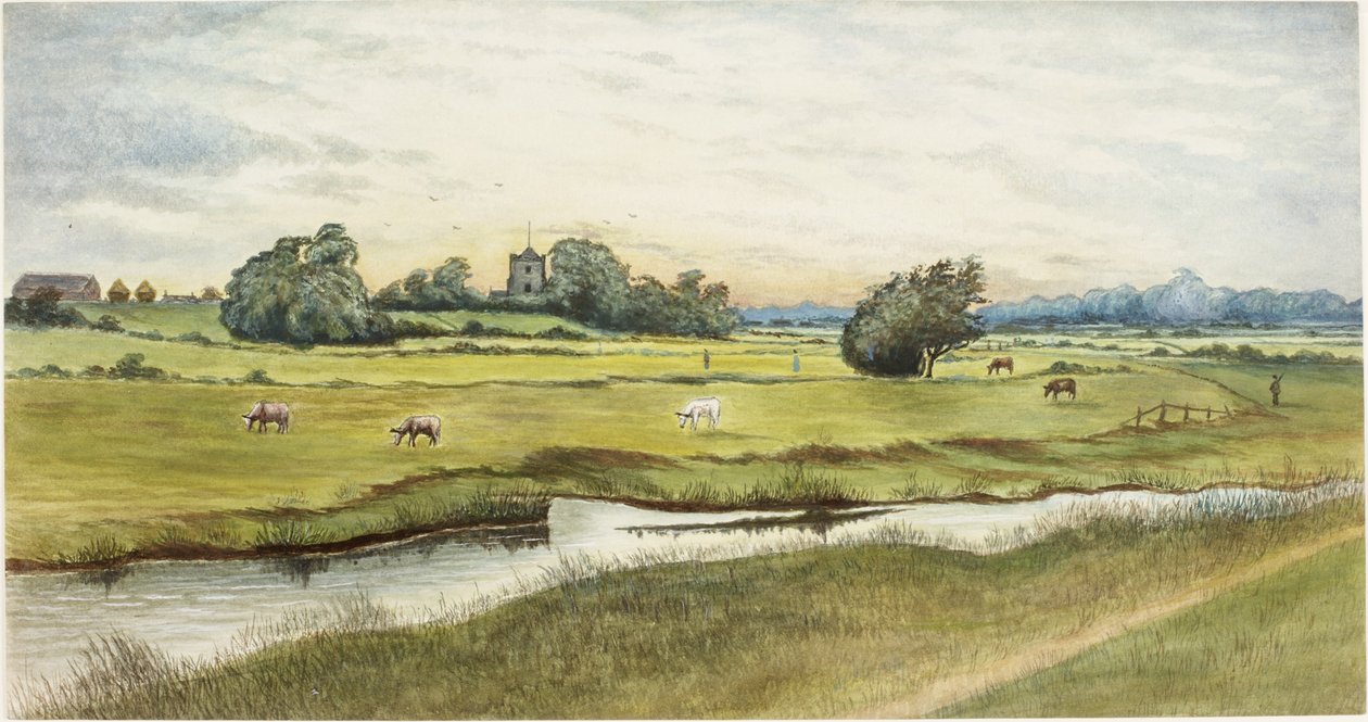 Ryton Meadows (ألوان مائية وألوان الجسم على الورق) بواسطة جيمس هنري كليت