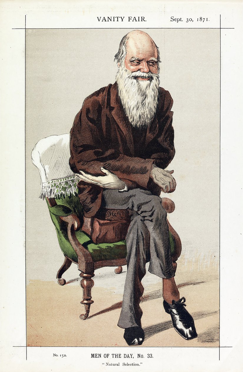 تشارلز داروين ، رجال اليوم ، رقم 33 ، الانتقاء الطبيعي ، من Vanity Fair ، حانة. 1871 بواسطة جيمس جاك جوزيف تيسو