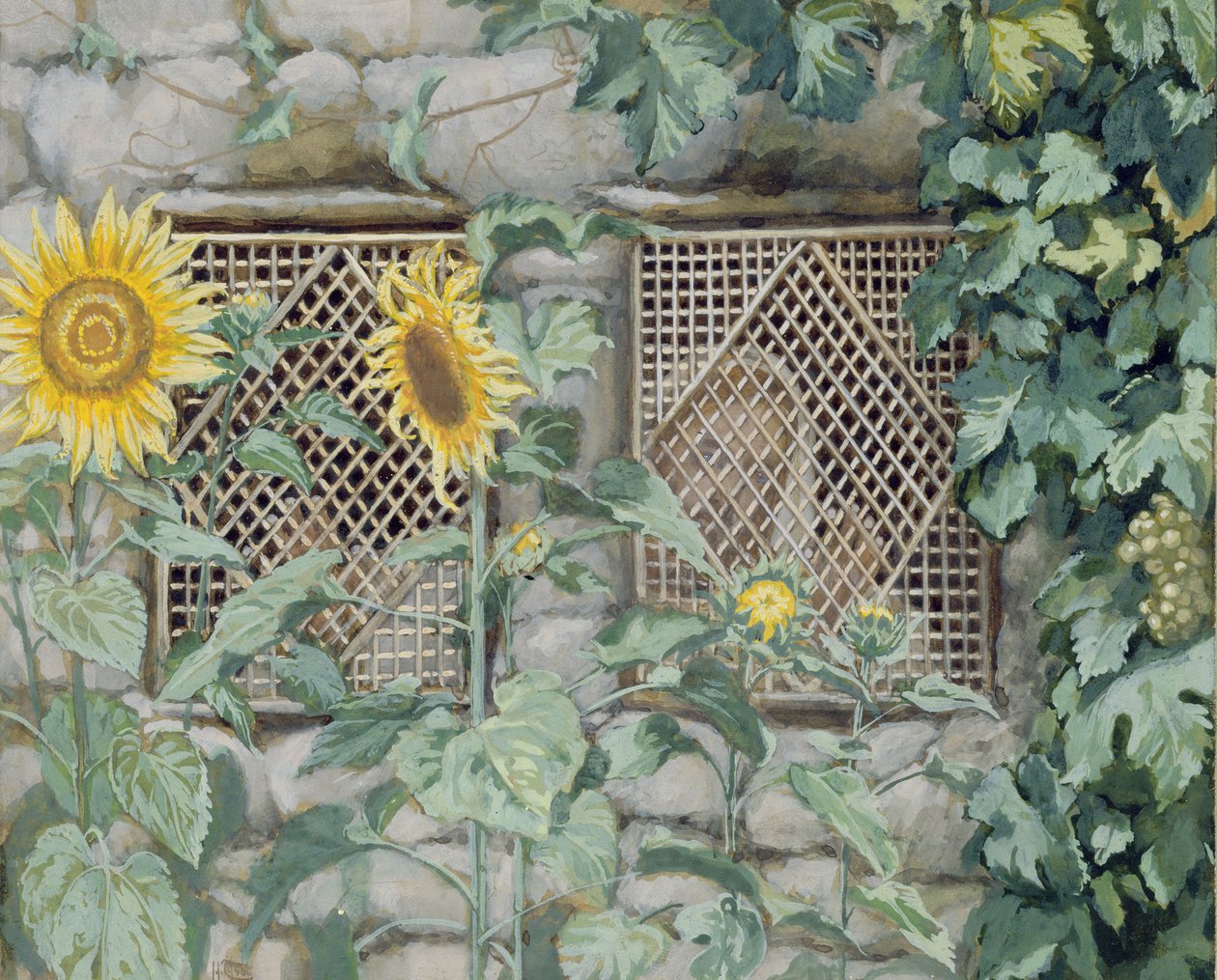 يسوع ينظر من خلال شبكة شعرية مع عباد الشمس ، رسم توضيحي لحياة المسيح ، c.1886-96 (الغواش ومرحاض على الورق) بواسطة جيمس جاك جوزيف تيسو