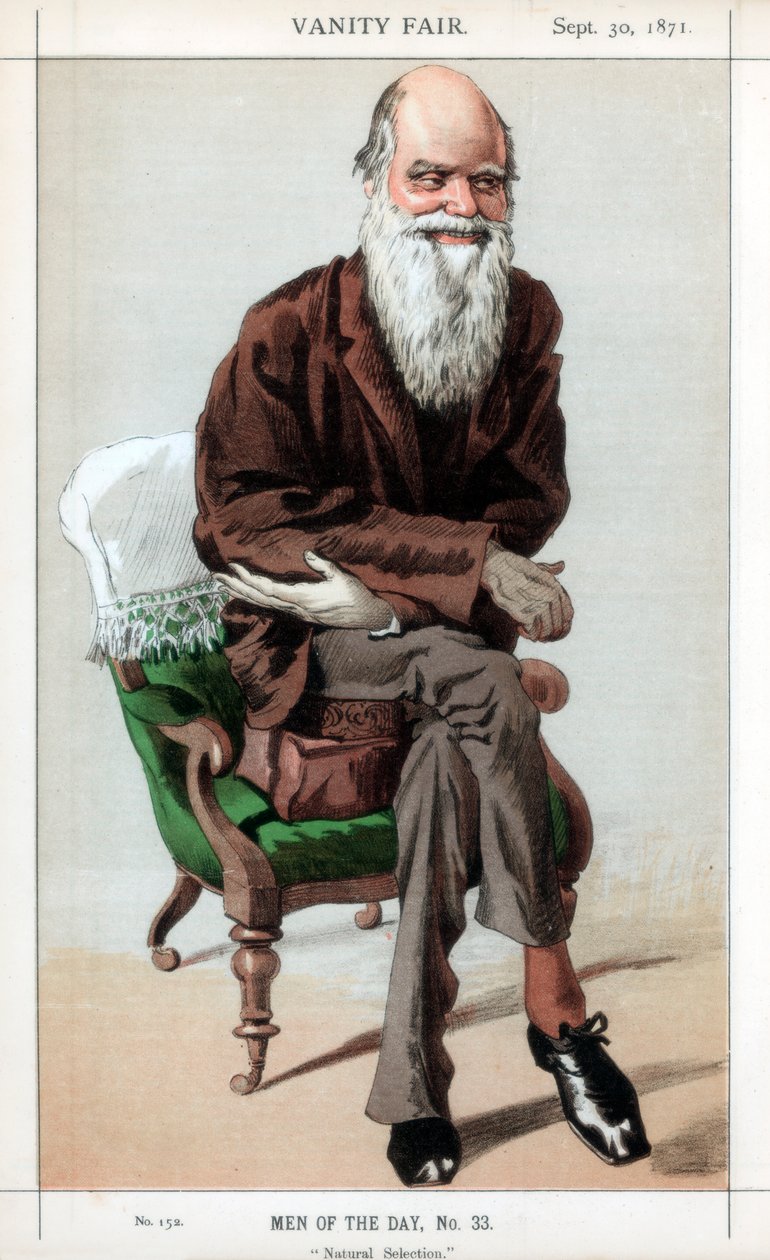 الانتقاء الطبيعي ، 1871. بواسطة جيمس جاك جوزيف تيسو