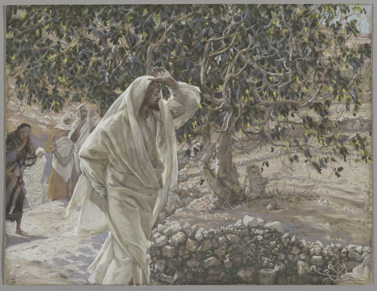 شجرة التين اللعين ، توضيح من حياة ربنا يسوع المسيح ، 1886-1894 (مرحاض فوق الجرافيت على الورق) بواسطة جيمس جاك جوزيف تيسو