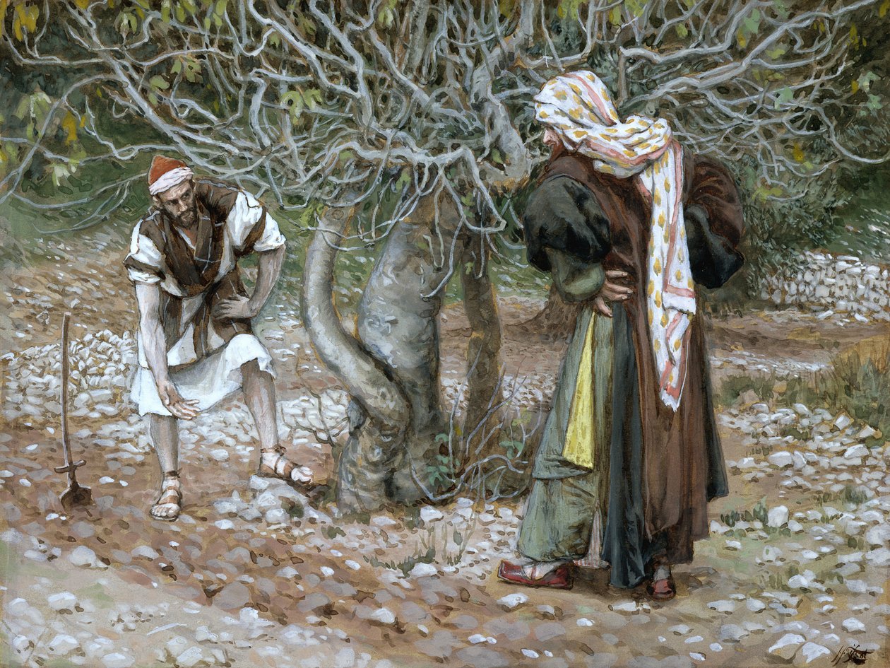 شجرة التين Barren ، توضيح لحياة المسيح ، c.1886-94 (مرحاض وغواش على ورق مقوى) بواسطة جيمس جاك جوزيف تيسو