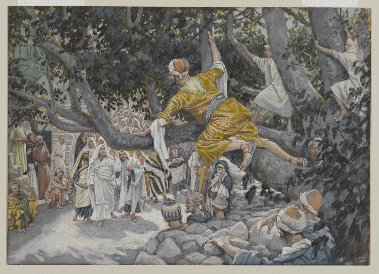 Zaccheus في الجميز في انتظار مرور يسوع ، التوضيح من حياة ربنا يسوع المسيح ، 1886-1896 (مرحاض فوق الجرافيت على الورق) بواسطة جيمس جاك جوزيف تيسو