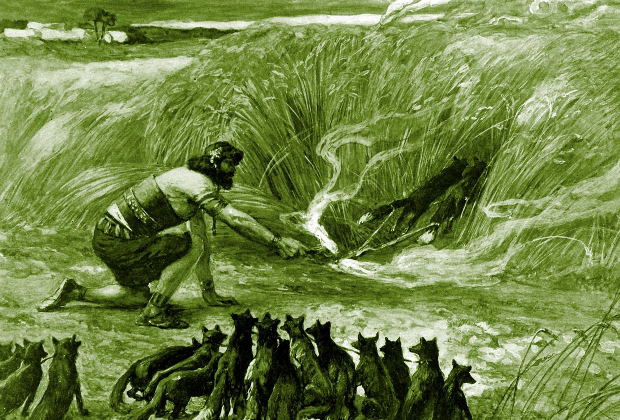 شمشون والثعالب بقلم جيمس تيسو - الكتاب المقدس بواسطة جيمس جاك جوزيف بعد تيسو