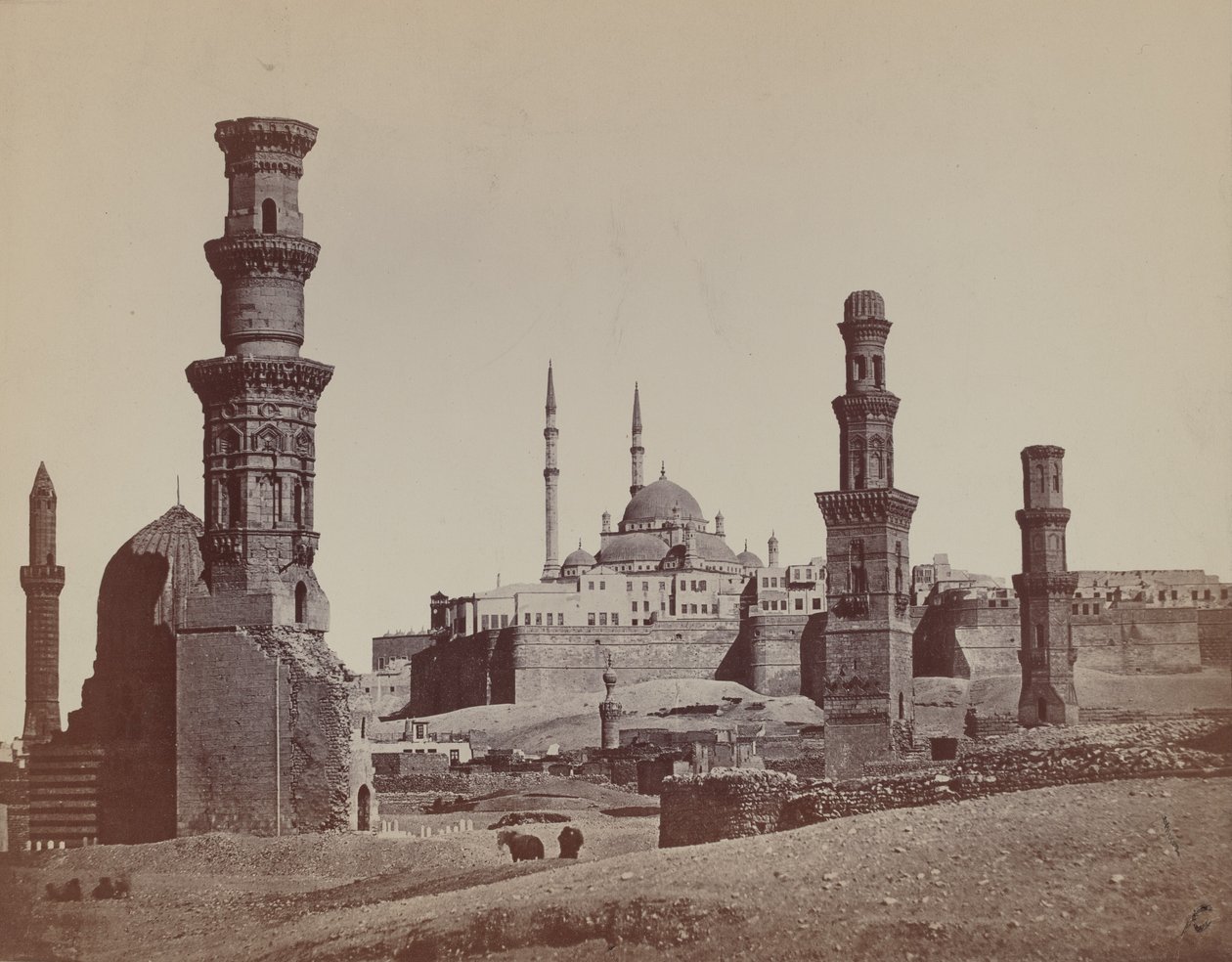  بواسطة جيمس روبرتسون