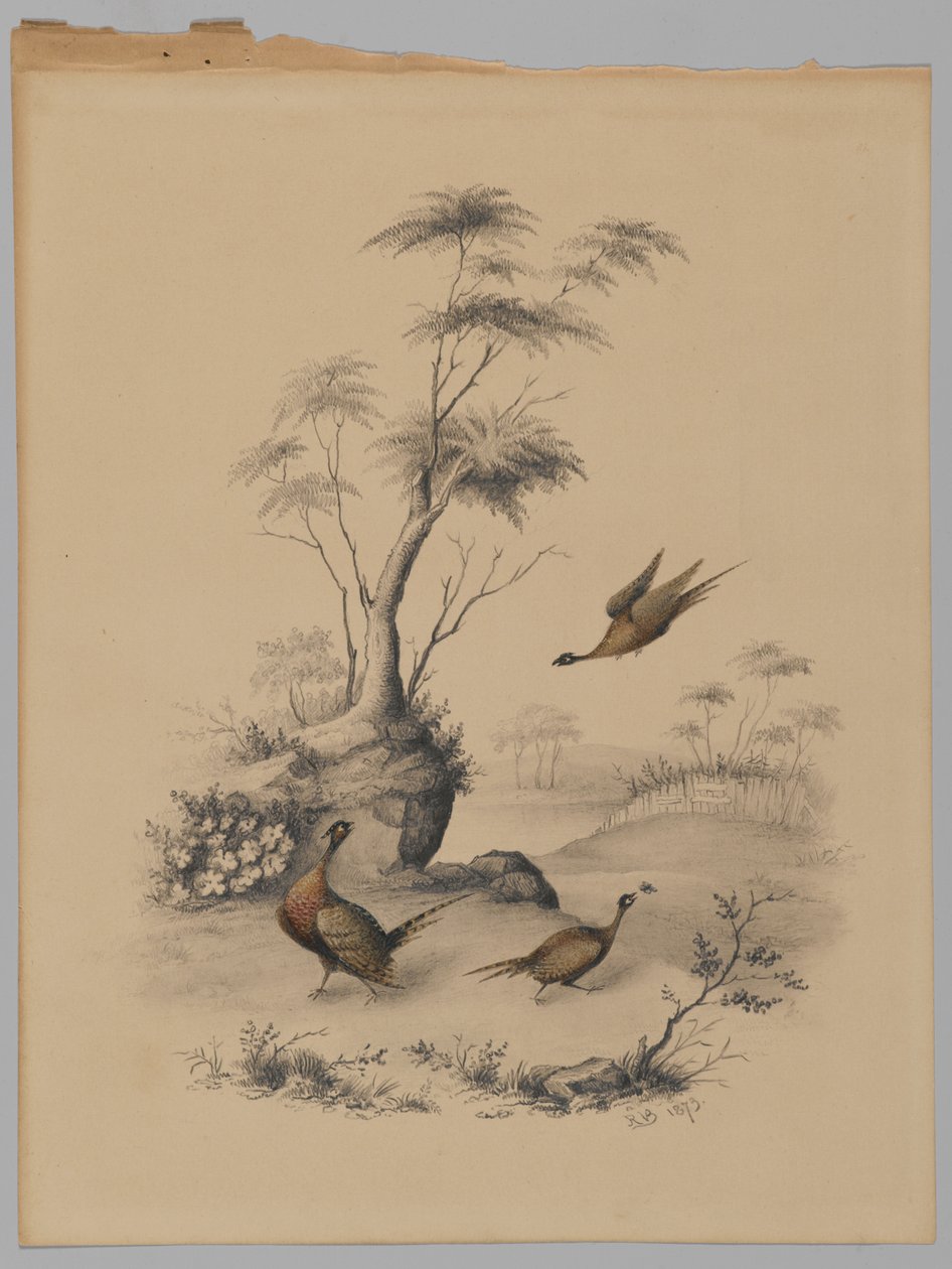 ثلاثة دراجين ، 1873 (جرافيت ومرحاض على ورق) بواسطة جيمس رايدر فان برونت