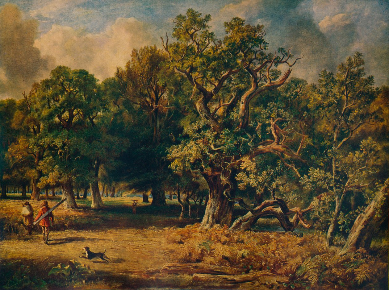 غابة وندسور ، c1835 بواسطة جيمس ستارك