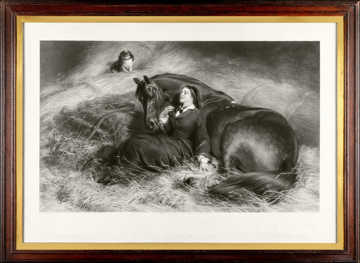 ترويض النمرة (وتسمى أيضًا "The Pretty Horsebreaker") (mezzotint) بواسطة جيمس ستيفنسون